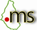.ms MS NIC